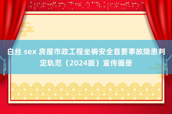 白丝 sex 房屋市政工程坐褥安全首要事故隐患判定轨范（2024版）宣传画册