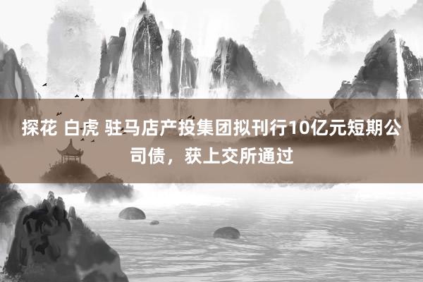 探花 白虎 驻马店产投集团拟刊行10亿元短期公司债，获上交所通过
