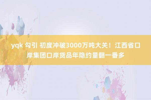 yqk 勾引 初度冲破3000万吨大关！江西省口岸集团口岸货品年隐约量翻一番多