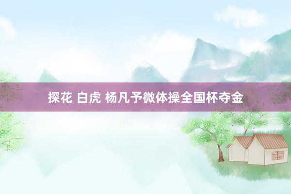 探花 白虎 杨凡予微体操全国杯夺金