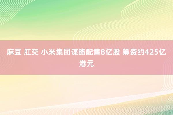 麻豆 肛交 小米集团谋略配售8亿股 筹资约425亿港元