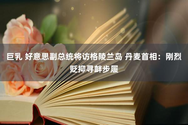 巨乳 好意思副总统将访格陵兰岛 丹麦首相：刚烈贬抑寻衅步履