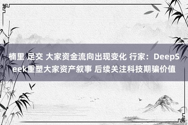 楠里 足交 大家资金流向出现变化 行家：DeepSeek重塑大家资产叙事 后续关注科技期骗价值