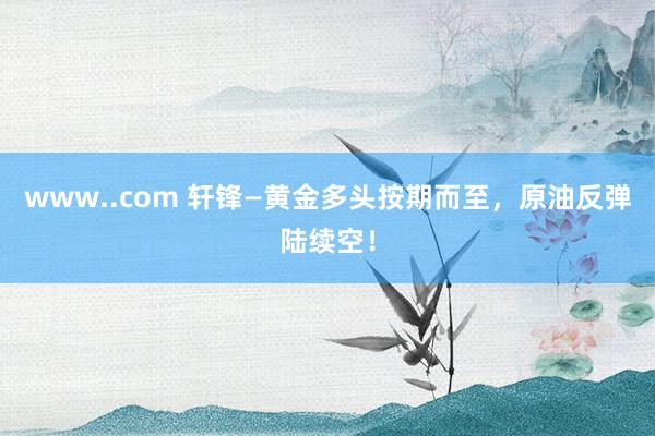 www..com 轩锋—黄金多头按期而至，原油反弹陆续空！