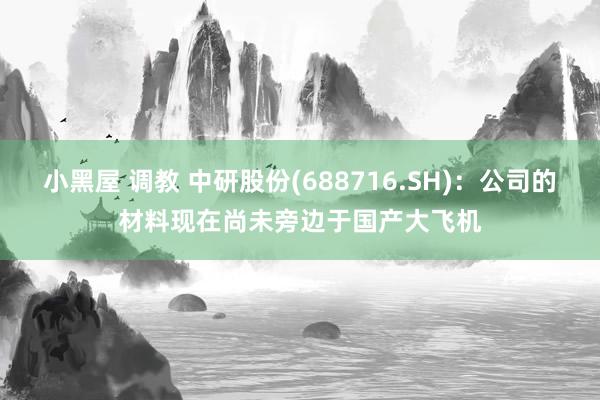 小黑屋 调教 中研股份(688716.SH)：公司的材料现在尚未旁边于国产大飞机