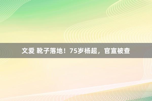 文爱 靴子落地！75岁杨超，官宣被查