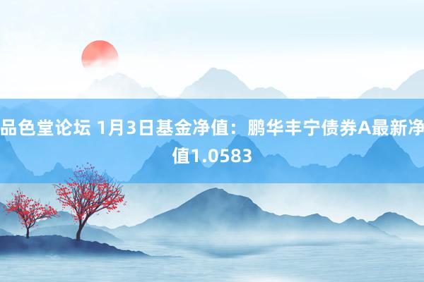 品色堂论坛 1月3日基金净值：鹏华丰宁债券A最新净值1.0583