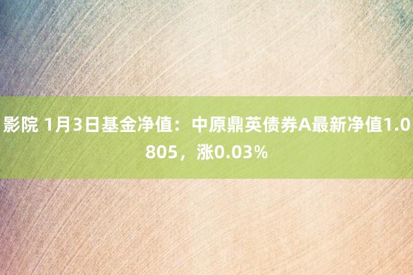 影院 1月3日基金净值：中原鼎英债券A最新净值1.0805，涨0.03%
