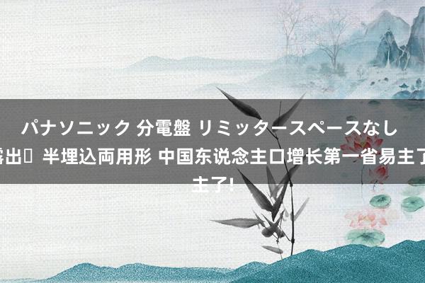 パナソニック 分電盤 リミッタースペースなし 露出・半埋込両用形 中国东说念主口增长第一省易主了!