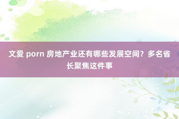 文爱 porn 房地产业还有哪些发展空间？多名省长聚焦这件事