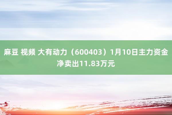 麻豆 视频 大有动力（600403）1月10日主力资金净卖出11.83万元