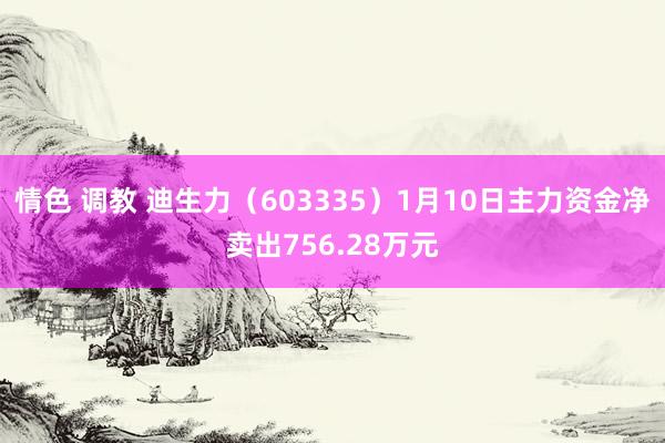 情色 调教 迪生力（603335）1月10日主力资金净卖出756.28万元