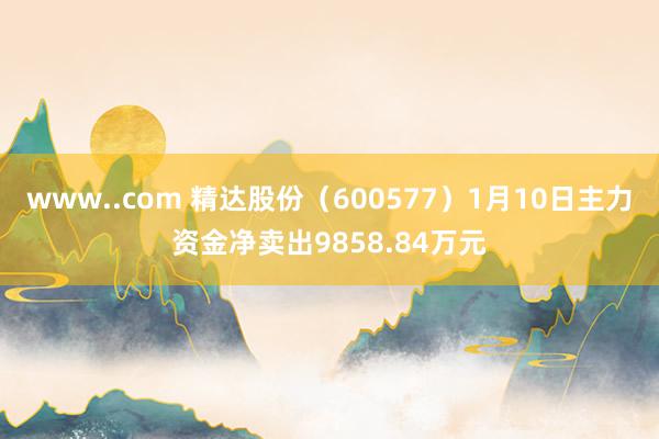 www..com 精达股份（600577）1月10日主力资金净卖出9858.84万元