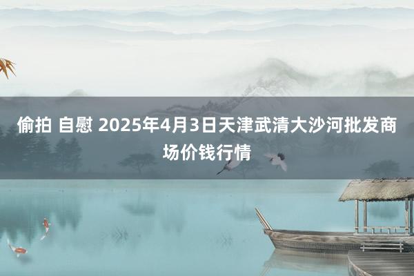 偷拍 自慰 2025年4月3日天津武清大沙河批发商场价钱行情