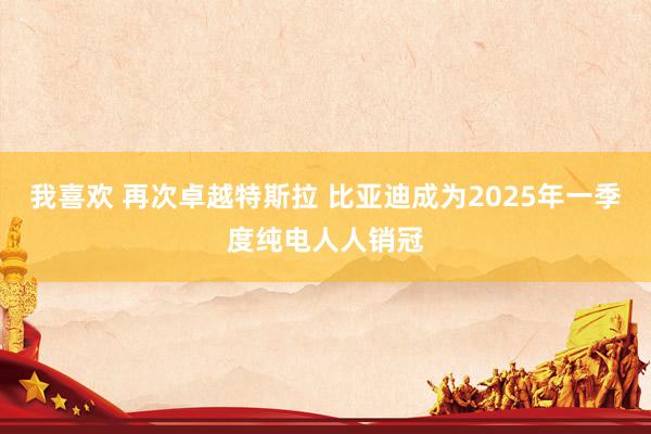 我喜欢 再次卓越特斯拉 比亚迪成为2025年一季度纯电人人销冠