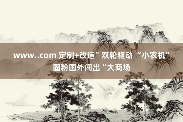 www..com 定制+改造”双轮驱动 “小农机”圈粉国外闯出“大商场