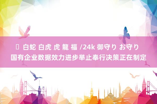✨白蛇 白虎 虎 龍 福 /24k 御守り お守り 国有企业数据效力进步举止奉行决策正在制定