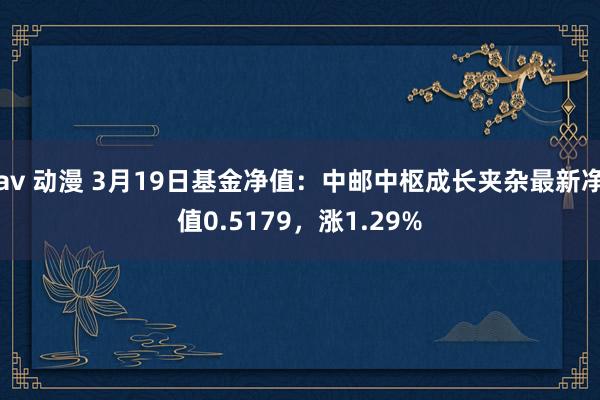 av 动漫 3月19日基金净值：中邮中枢成长夹杂最新净值0.5179，涨1.29%