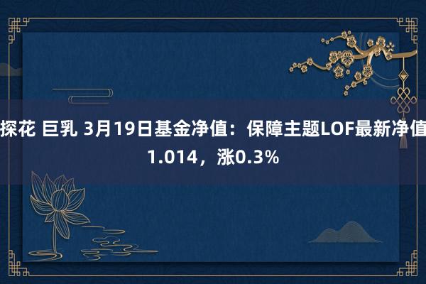 探花 巨乳 3月19日基金净值：保障主题LOF最新净值1.014，涨0.3%