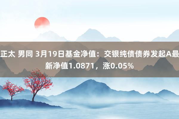正太 男同 3月19日基金净值：交银纯债债券发起A最新净值1.0871，涨0.05%