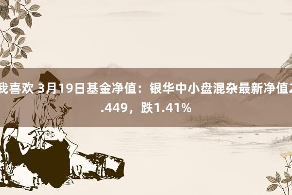 我喜欢 3月19日基金净值：银华中小盘混杂最新净值2.449，跌1.41%