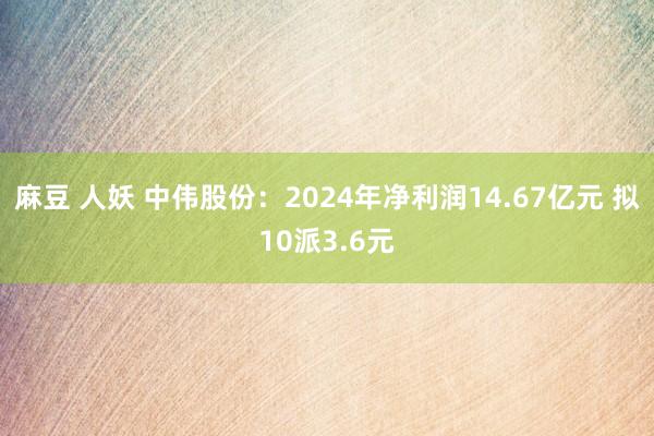 麻豆 人妖 中伟股份：2024年净利润14.67亿元 拟10派3.6元