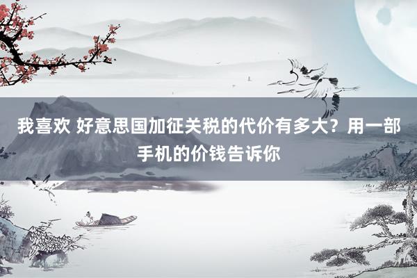 我喜欢 好意思国加征关税的代价有多大？用一部手机的价钱告诉你
