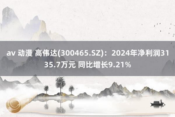 av 动漫 高伟达(300465.SZ)：2024年净利润3135.7万元 同比增长9.21%