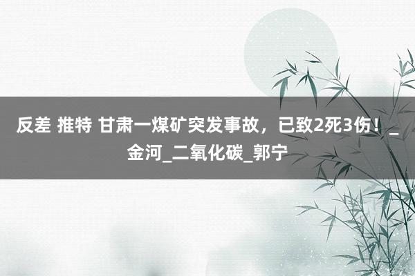 反差 推特 甘肃一煤矿突发事故，已致2死3伤！_金河_二氧化碳_郭宁
