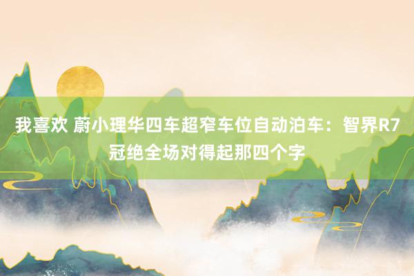 我喜欢 蔚小理华四车超窄车位自动泊车：智界R7冠绝全场对得起那四个字