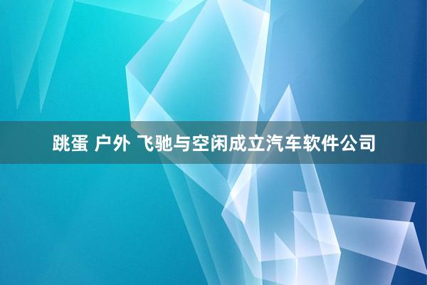 跳蛋 户外 飞驰与空闲成立汽车软件公司