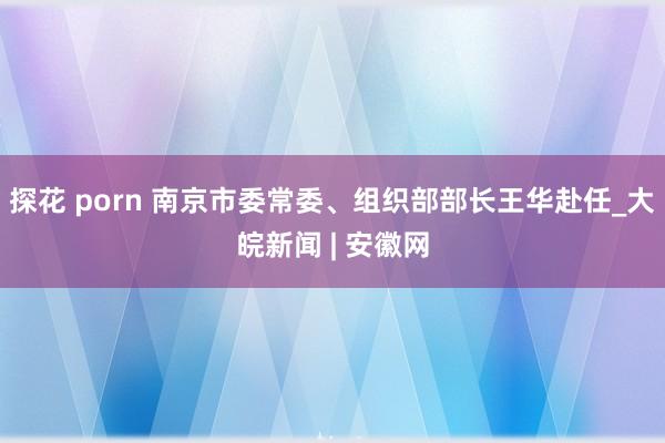 探花 porn 南京市委常委、组织部部长王华赴任_大皖新闻 | 安徽网