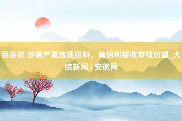 我喜欢 涉嫌严重违规犯科，黄炳利接收审检讨望_大皖新闻 | 安徽网