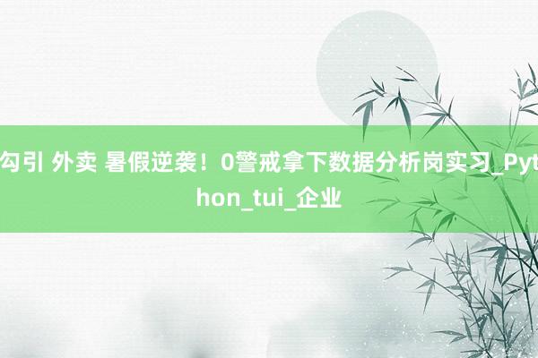 勾引 外卖 暑假逆袭！0警戒拿下数据分析岗实习_Python_tui_企业