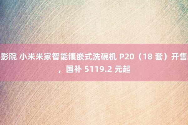 影院 小米米家智能镶嵌式洗碗机 P20（18 套）开售，国补 5119.2 元起