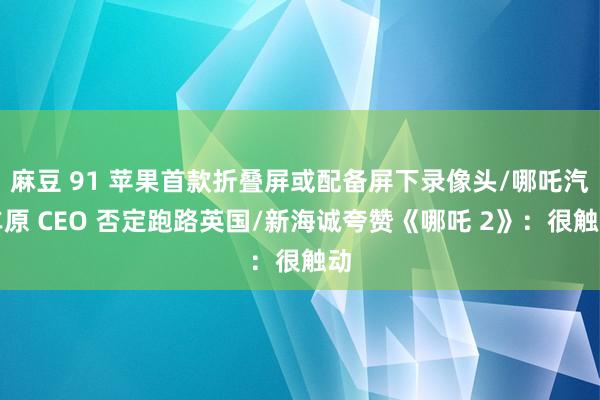 麻豆 91 苹果首款折叠屏或配备屏下录像头/哪吒汽车原 CEO 否定跑路英国/新海诚夸赞《哪吒 2》：很触动