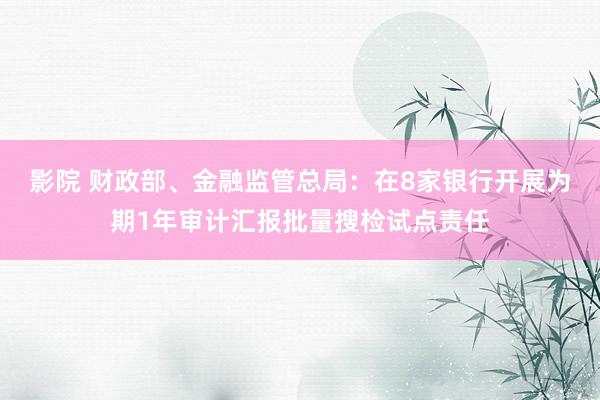 影院 财政部、金融监管总局：在8家银行开展为期1年审计汇报批量搜检试点责任