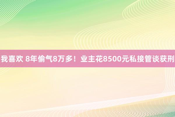 我喜欢 8年偷气8万多！业主花8500元私接管谈获刑