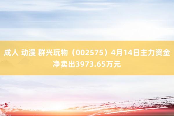 成人 动漫 群兴玩物（002575）4月14日主力资金净卖出3973.65万元