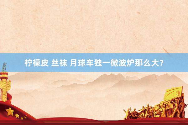柠檬皮 丝袜 月球车独一微波炉那么大？
