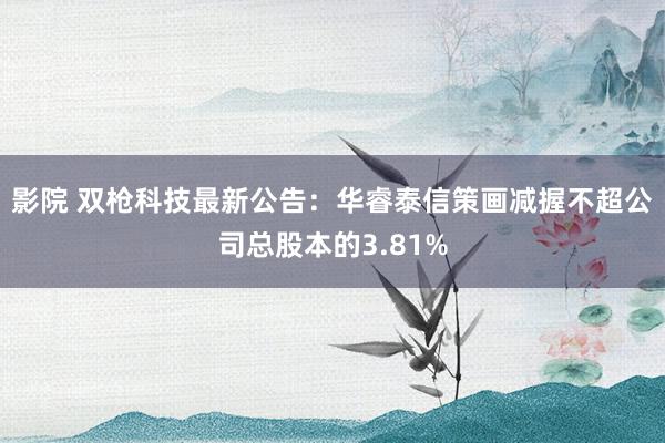 影院 双枪科技最新公告：华睿泰信策画减握不超公司总股本的3.81%