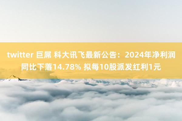 twitter 巨屌 科大讯飞最新公告：2024年净利润同比下落14.78% 拟每10股派发红利1元