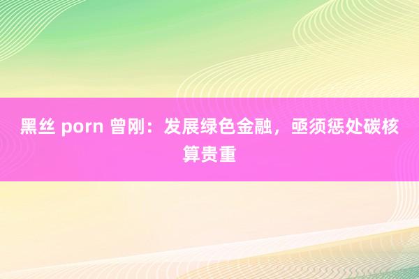 黑丝 porn 曾刚：发展绿色金融，亟须惩处碳核算贵重